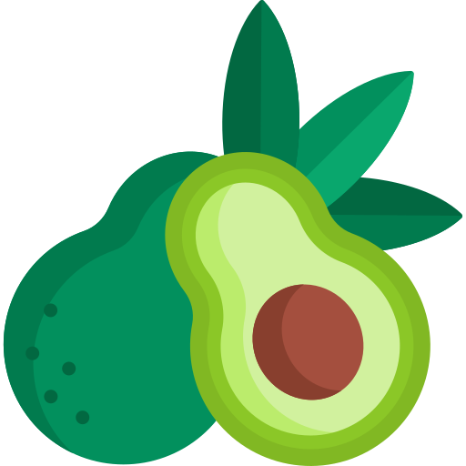 Learn AvocadoFruits in english
