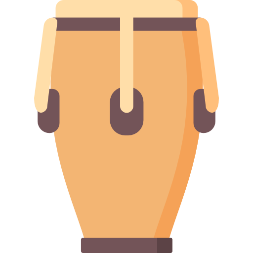 Learn CongaMusical Instruments in english