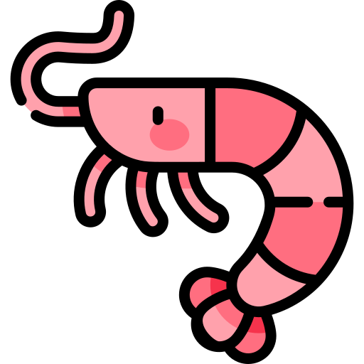Learn ShrimpAnimals in english